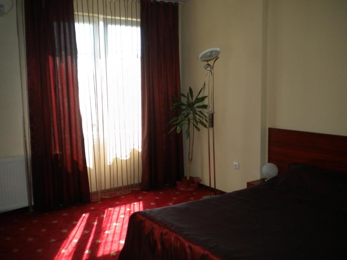 Отель Hotel Ary Клуж-Напока-28