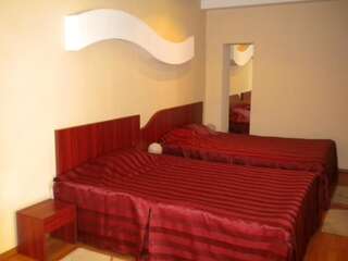 Отель Hotel Ary Клуж-Напока Двухместный номер с 2 отдельными кроватями-1